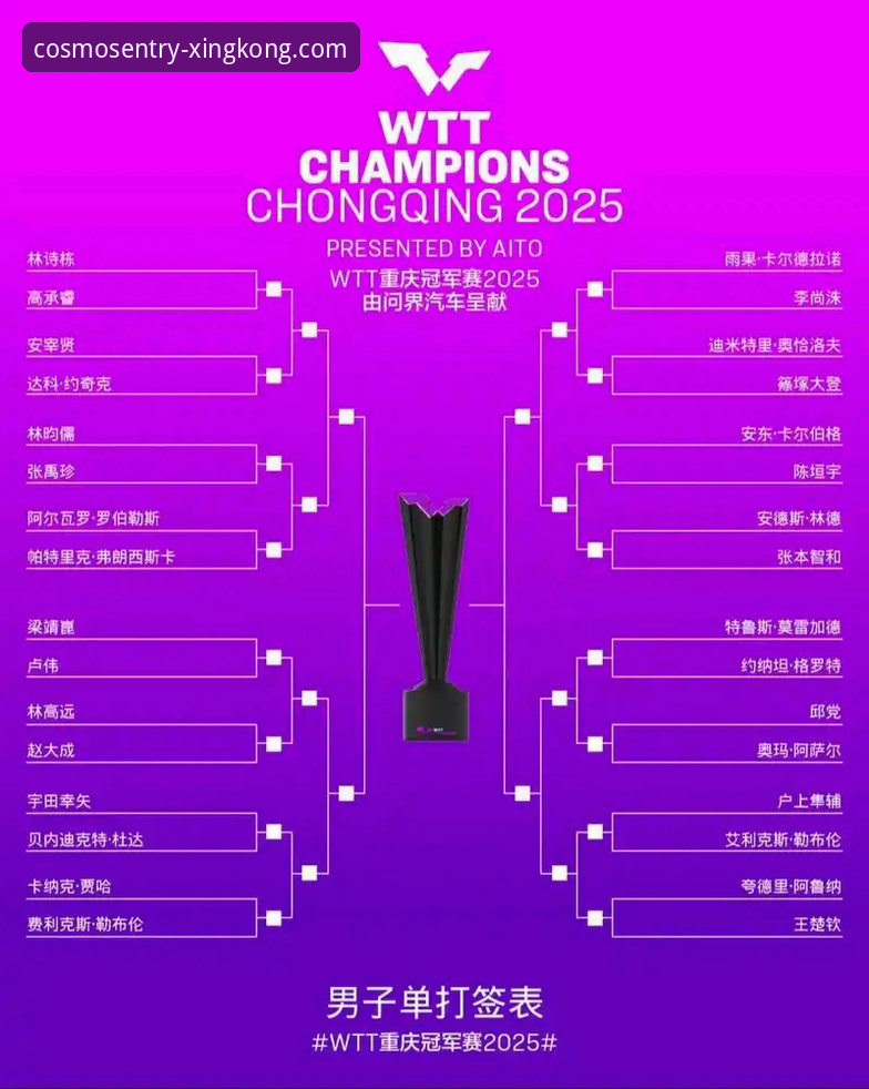 WTT重庆冠军赛男单决赛技术复盘与平台体验详解